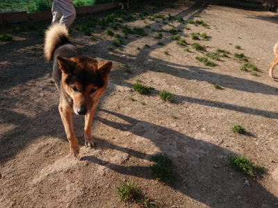 f:id:roukenhome-ann:20190405072718j:plain