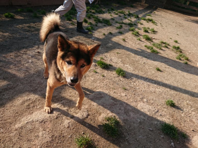 f:id:roukenhome-ann:20190405072741j:plain