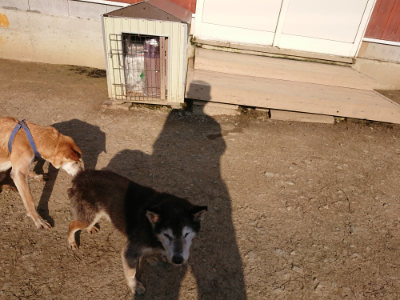 f:id:roukenhome-ann:20190405072910j:plain