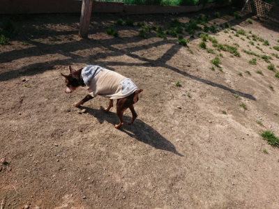 f:id:roukenhome-ann:20190405072921j:plain