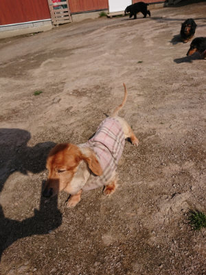 f:id:roukenhome-ann:20190405072927j:plain