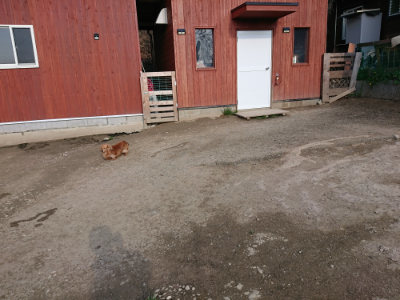 f:id:roukenhome-ann:20190405072944j:plain
