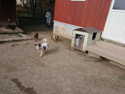 f:id:roukenhome-ann:20190405073018j:plain