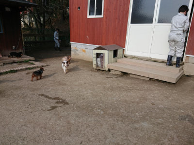 f:id:roukenhome-ann:20190405073040j:plain