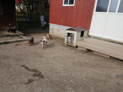 f:id:roukenhome-ann:20190405073047j:plain