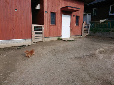 f:id:roukenhome-ann:20190405073110j:plain