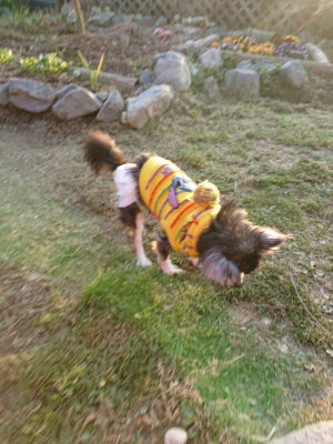f:id:roukenhome-ann:20190405073136j:plain