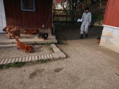 f:id:roukenhome-ann:20190405073151j:plain