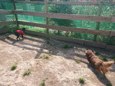 f:id:roukenhome-ann:20190405073214j:plain