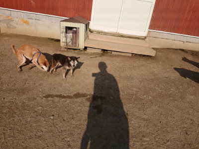 f:id:roukenhome-ann:20190405073232j:plain