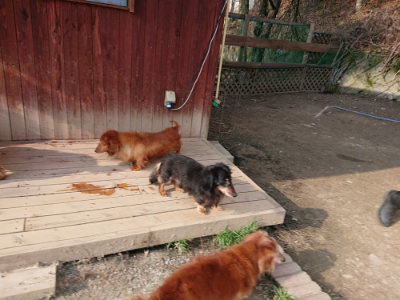 f:id:roukenhome-ann:20190405073256j:plain