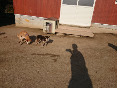 f:id:roukenhome-ann:20190405073302j:plain