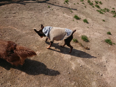 f:id:roukenhome-ann:20190405073319j:plain