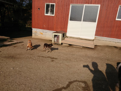 f:id:roukenhome-ann:20190405073333j:plain