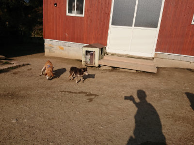 f:id:roukenhome-ann:20190405073338j:plain