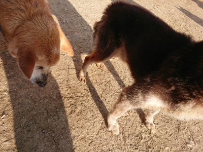 f:id:roukenhome-ann:20190405073414j:plain