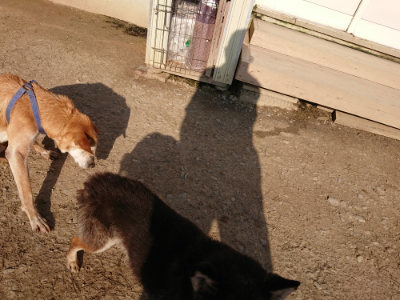 f:id:roukenhome-ann:20190405073432j:plain