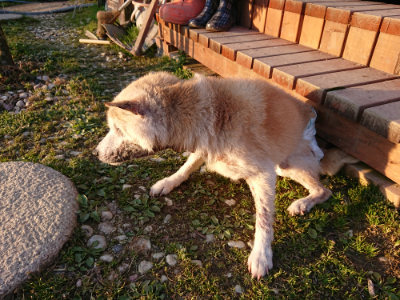 f:id:roukenhome-ann:20190405073445j:plain