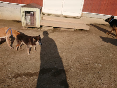 f:id:roukenhome-ann:20190405073502j:plain