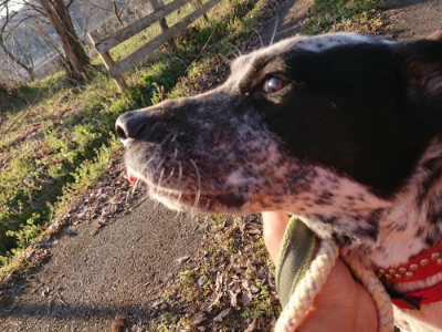 f:id:roukenhome-ann:20190405073541j:plain