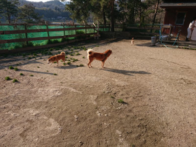 f:id:roukenhome-ann:20190405073610j:plain