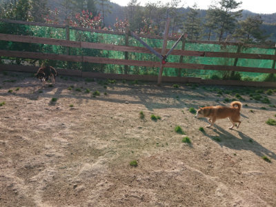 f:id:roukenhome-ann:20190405073615j:plain