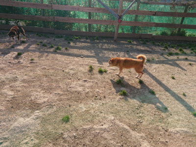 f:id:roukenhome-ann:20190405073622j:plain