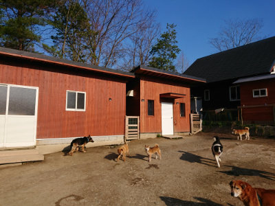 f:id:roukenhome-ann:20190405073632j:plain