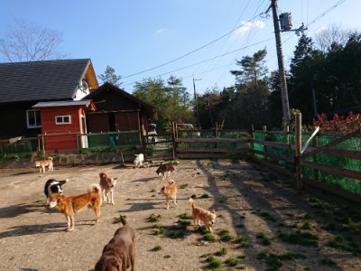 f:id:roukenhome-ann:20190405073642j:plain