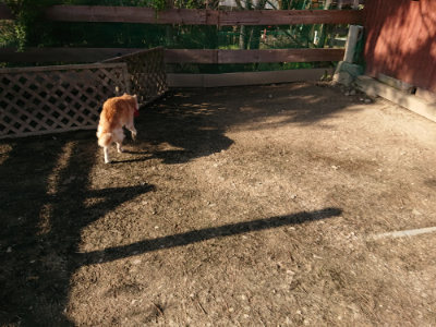 f:id:roukenhome-ann:20190405073648j:plain