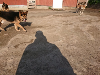 f:id:roukenhome-ann:20190405073842j:plain