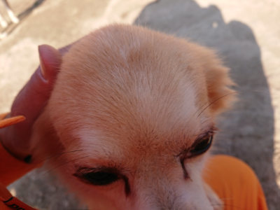 f:id:roukenhome-ann:20190405073858j:plain
