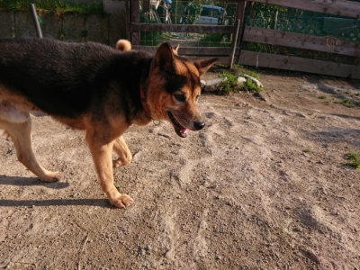 f:id:roukenhome-ann:20190405073904j:plain