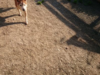 f:id:roukenhome-ann:20190405073914j:plain