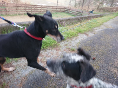 f:id:roukenhome-ann:20190405074126j:plain