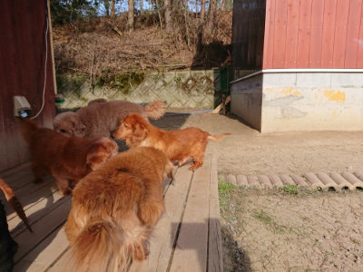 f:id:roukenhome-ann:20190406184155j:plain