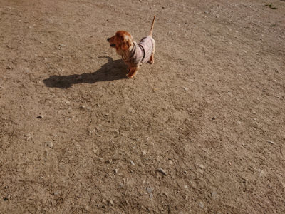 f:id:roukenhome-ann:20190406184225j:plain