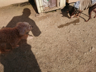 f:id:roukenhome-ann:20190406184251j:plain