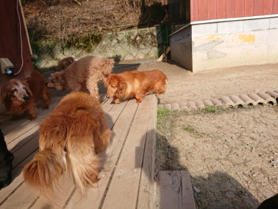 f:id:roukenhome-ann:20190406184342j:plain