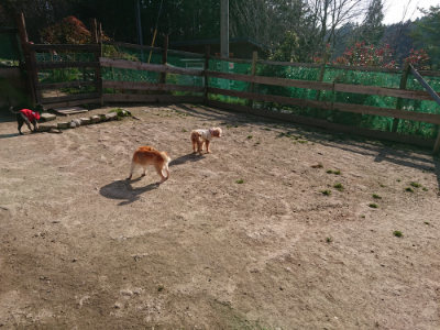 f:id:roukenhome-ann:20190406184433j:plain