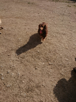 f:id:roukenhome-ann:20190406184821j:plain