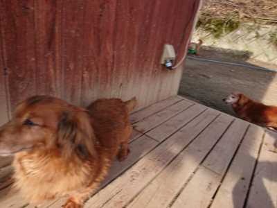 f:id:roukenhome-ann:20190406184840j:plain