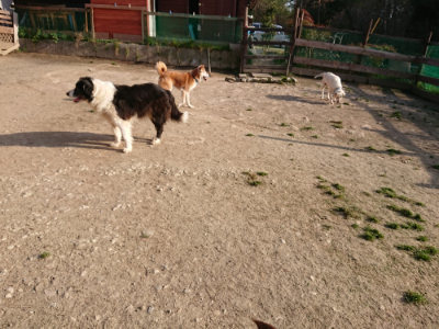 f:id:roukenhome-ann:20190406184918j:plain