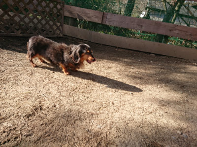f:id:roukenhome-ann:20190406185000j:plain