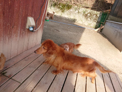 f:id:roukenhome-ann:20190406185036j:plain