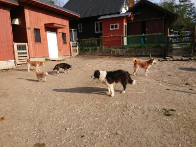 f:id:roukenhome-ann:20190406185043j:plain