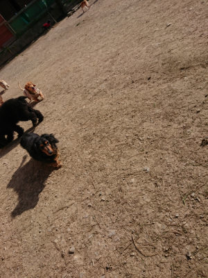 f:id:roukenhome-ann:20190406185054j:plain