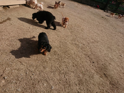 f:id:roukenhome-ann:20190406185118j:plain