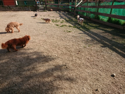 f:id:roukenhome-ann:20190406185130j:plain