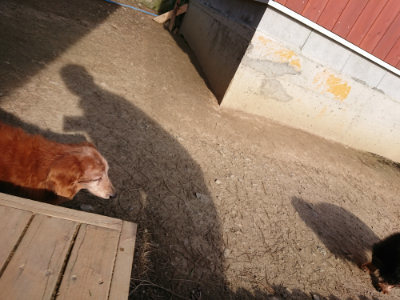 f:id:roukenhome-ann:20190406185154j:plain